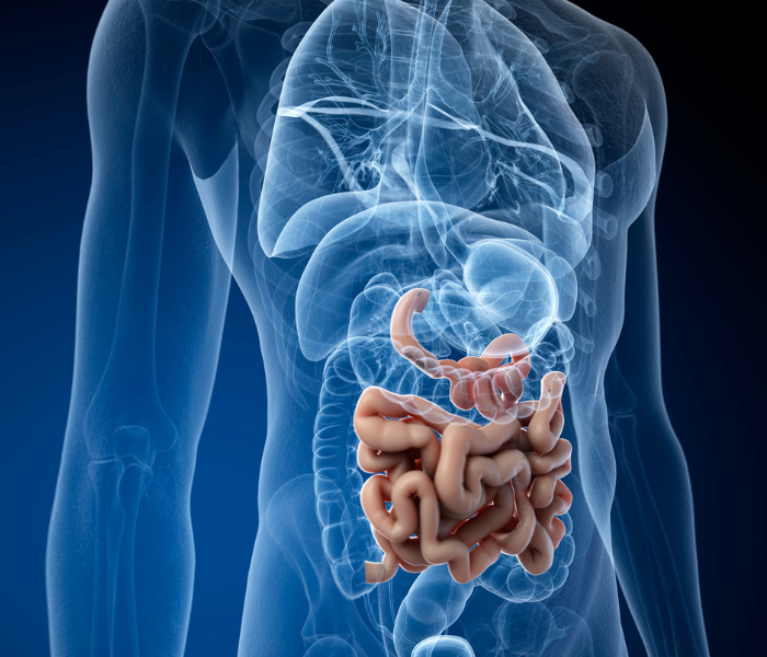 DNA Gut 360 Premium Comprehensive Microbiome Test & Reports