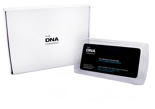 DNA 360 Report